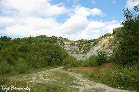 Rezerwat przyrody Koziniec